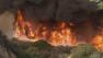 A vegetation fire burns in the Inland Empire.