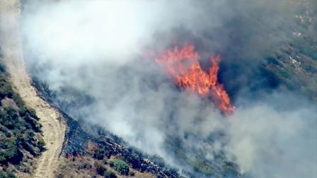 A wildfire broke out in the San Bernardino Mountains near Waterman Canyon on Monday, July 9, 2012.