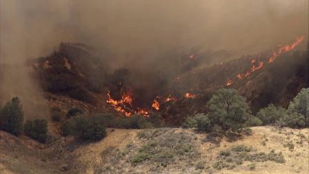 A brush fire near Gorman in the Angeles National Forest burned more than 200 acres Saturday.
