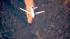 An air tanker makes a drop over a wildfire in...