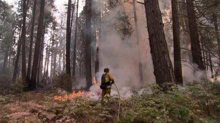 A firefighter is seen battlling a wildfire near Yosemite National Park on Saturday, Aug. 24, 2013.