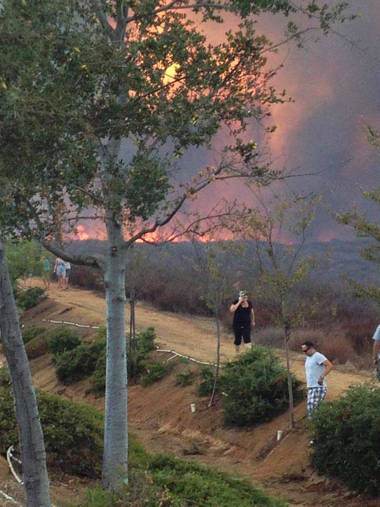 ABC7 viewer Teresa Parry Will posted this photo...