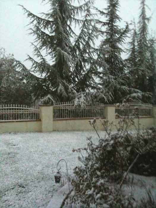 ABC7 viewer Yvette sent in this photo of snow in...