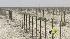 Water Allocations Have Farmers Worried ::