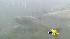 Study Finds Delta Pumping Restrictions... ::