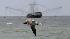 A bird flies past a shrimp boat that is trawling...