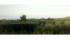 54 acres, hot houses, look out stations, row...