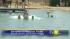 Thieves steal sports equipment used by... ::