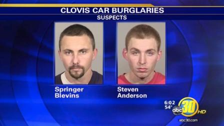 Springer Blevins, Steven Anderson