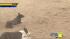 Herding dogs show off their skills at the... ::