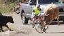 The Race Across America is from Oceanside to Maryland and raises money for charity in memory of Crystel Stanford, who died in last years California Classic bike race.