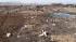 Photo of the illega cowl burial area.