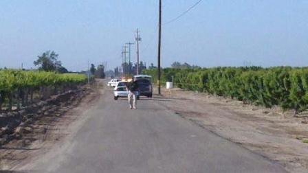 Fresno Co Sheriff: Man severely beaten near Fowler