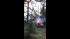 Huntington Lake cabin fire ::