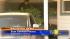 Fresno police on scene of pot bust ::
