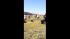 Viewer video of Hanford train crash ::