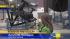 Made in the Valley: Innovative Rotational... ::