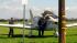 The small plane after an emergency landing in...
