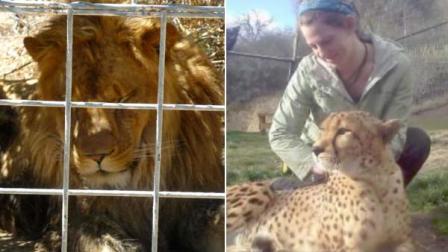 Lion attack victim Dianna Hanson and Cat Haven lion Cous Cous