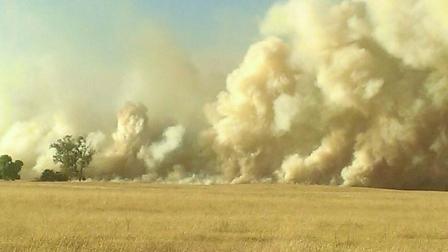 Rolling Fire in Madera County fire burning rapidly toward the cattle ranch