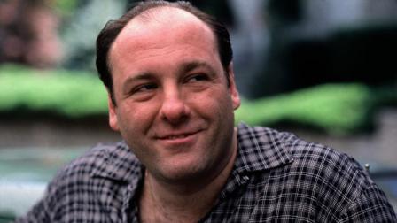 Actor James Gandolfini, who played Tony Soprano on HBOs The Sopranos, has died following a possible heart attack. He was 51 years old.