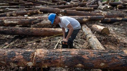 Bo Burns cutting logs at K&B Timberworks Inc. in Reserve, N.M.