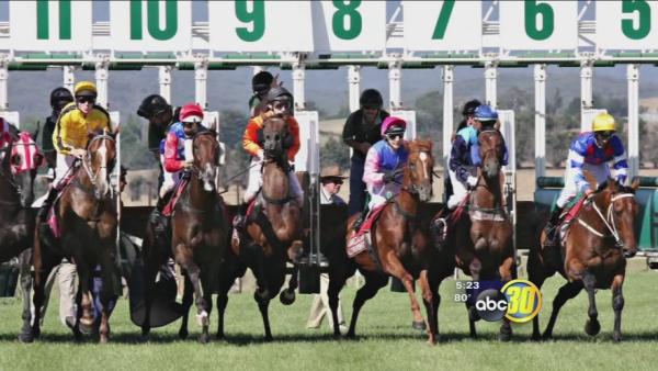 Safe from Scams: Horse track scam cons hundreds