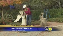 Organizers begin to decorate Christmas Tree Lane