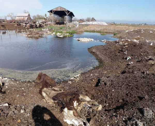 Photo of wastewater ponding adjacent to the...