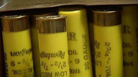 A push to expand a lead ammo ban statewide is creating controversy. Critics say it would create a virtual ban on hunting.