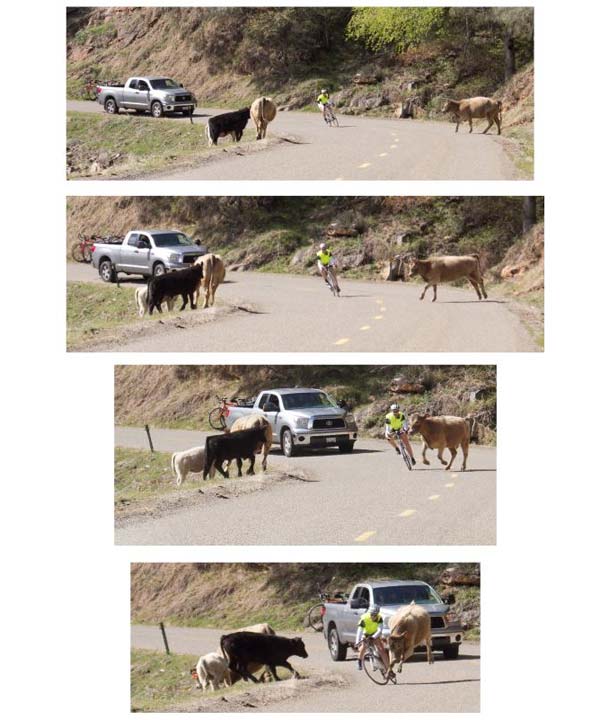 Spigelmyre was training along Trimmer Springs...
