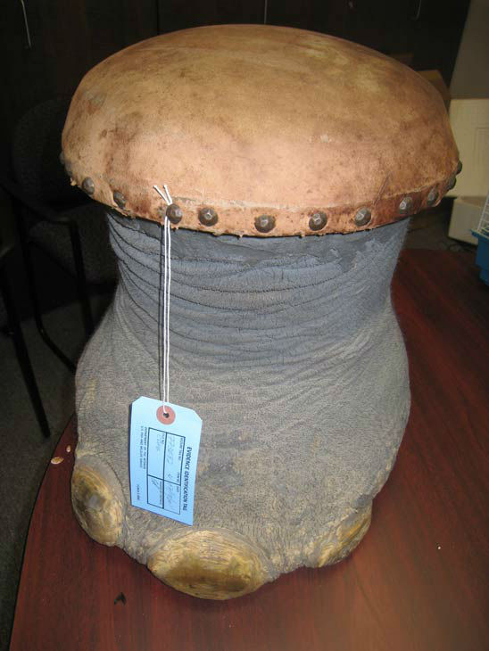 Alfredo Vazquez, 50, of Montebello was arrested for allegedly selling an elephant's foot. The arrests are a result of Operation Cyberwild, a task force investigation that led to the arrests of 10 people in California, as well as two individuals in Nevada.