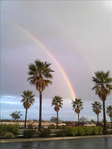 Rainbow 4/11/12