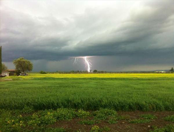 Lightning bolt from Thursday's storm