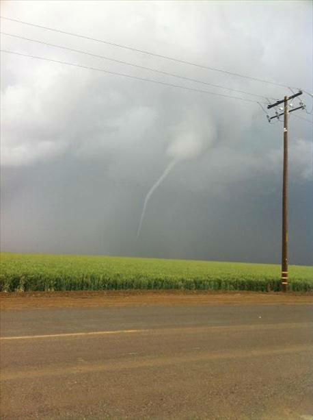 Spotted on Avenal-cutoff and HWY 198 on Wednesday