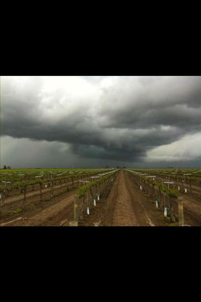 Storm