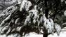 Bay Area sees good chance of snow