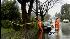 Storm Watch: Peninsula conditions ::