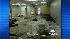 Storm Watch: Power outage damage ::