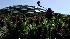 Living roof tops the new Academy ::