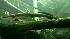 Bold experiment replicates life at sea ::