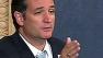 Sen. Ted Cruz