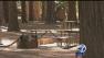 Yosemite campers forced to cut trips short