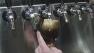 Microbreweries cant sell new beer due to shutdown