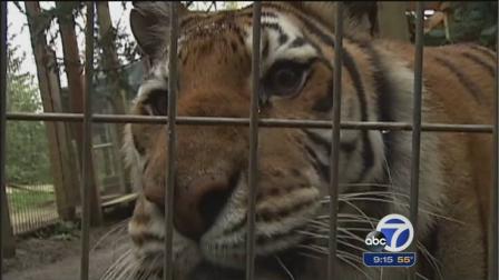 Sheriff: 1 dead in animal attack at Ore. sanctuary