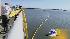 oil spill, San Francisco Bay, Cosco Busan, Dubai Star