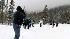 snow pack survey