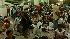 Medical professionals head to Haiti to help ::