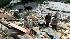 Desperate efforts to save survivors continue... ::