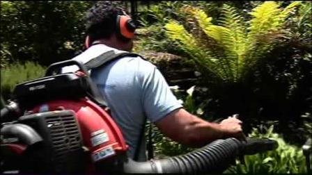 Some residents in the East Bay hope to follow the lead of other Bay Area cities by banning leaf blowers.